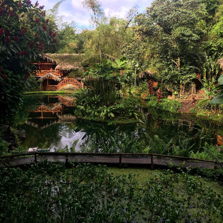 Mindo Lago Hotel Destino Bagian luar foto
